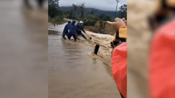 Khoảnh khắc giải cứu người phụ nữ bấu víu vào gốc cây giữa dòng nước lũ