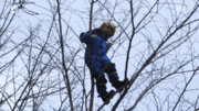 Trẻ trèo cây, học giữa rừng – mô hình mẫu giáo không tưởng của Đan Mạch