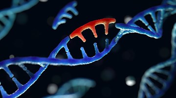 Con người liệu có tuyệt chủng nếu DNA ngừng biến đổi?