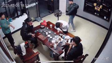 Mèo đen rơi từ nhà xuống bàn, nhân viên hốt hoảng