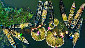 Khám phá 'miền đất hứa' Long An muôn sắc màu