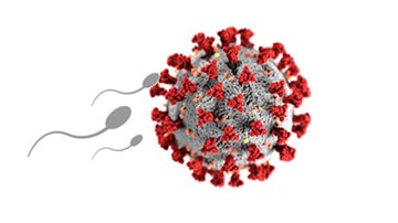 Covid-19: Chất lượng tinh trùng giảm, Mỹ có ca Omicron tử vong đầu tiên