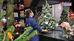 Ngắm thông Noel của 'dân chơi' Hà Nội: Cao 2 tầng nhà, giá hơn trăm triệu