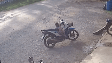 Bố quên không tắt máy, để con gái vặn trúng tay ga và cái kết thót tim