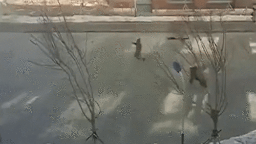 Gió mạnh thổi bay người đi bộ ở Trung Quốc