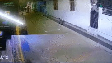 Khoảnh khắc báo hoang vồ ngã nhà báo đang tác nghiệp