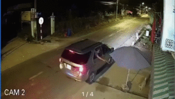 Nhóm 'cẩu tặc' đi ô tô, dùng súng bắn điện trộm chó chỉ trong vài giây