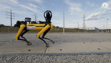 Bùng nổ phát triển robot bốn chân