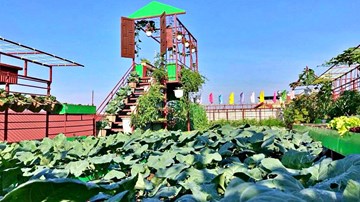 Ông bố ở Hà Nội bê đất, vác sắt làm vườn rau sạch cho con 'vừa ăn vừa học'