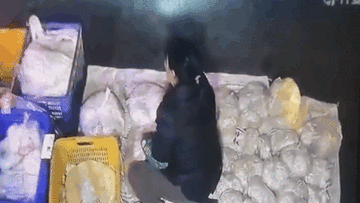 Phản ứng xuất thần thoát ô tô đâm trực diện trong gang tấc