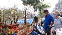 Chợ hoa Tết bến Bình Đông: Ghe, thuyền lên ít, lượng hoa giảm quá nửa