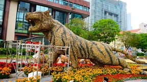 Độc đáo linh vật hổ làm bằng sỏi ở đường hoa Nguyễn Huệ 2022