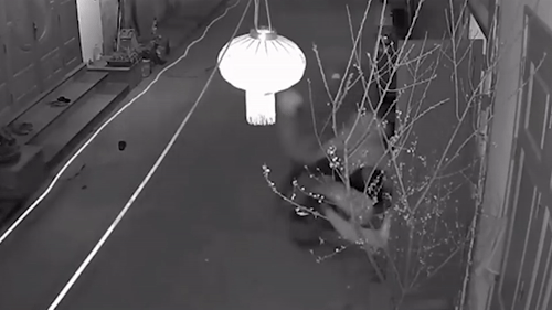 Tên cướp xông vào tận cửa nhà giật túi xách, kéo lê cô gái trên đường