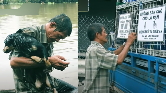 Người đàn ông vô gia cư nhặt ve chai nuôi đàn chó 30 con suốt 30 năm