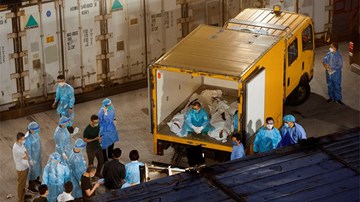 Covid-19: Hàn Quốc tăng kỷ lục ca nhiễm mới, tác động của virus tới não bộ