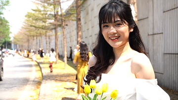 Con đường lá vàng long lanh trong nắng ở Hà Nội, nghìn người đổ về check-in